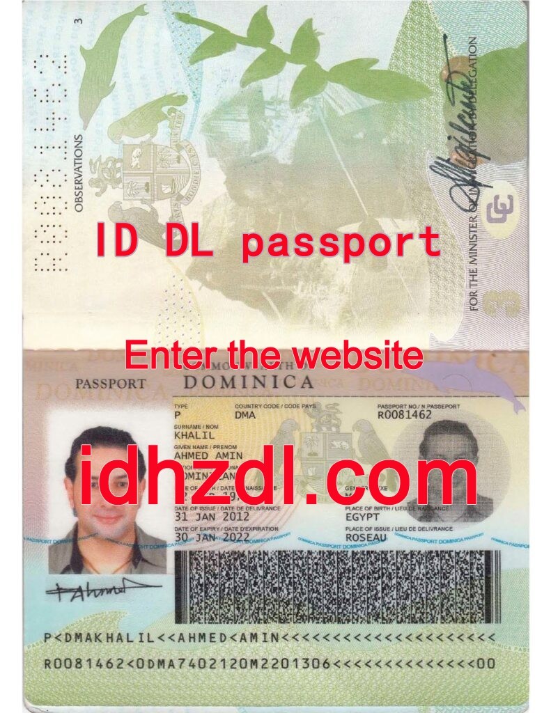How-to-get-a-Dominican-passport
