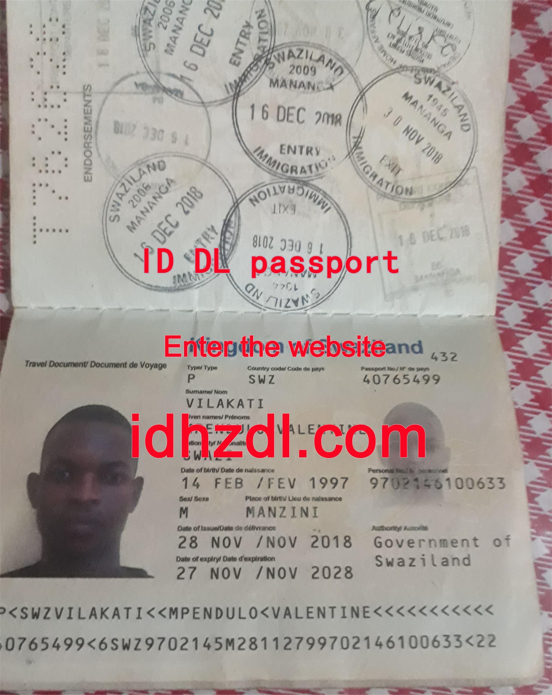 How-to-get-a-Eswatini-passport.jpeg