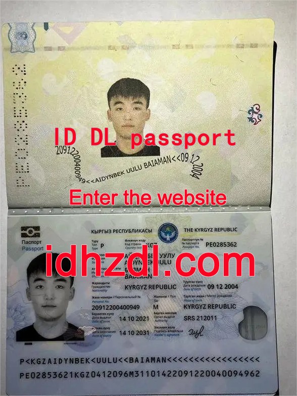 How-to-get-a-Kyrgyz-passport