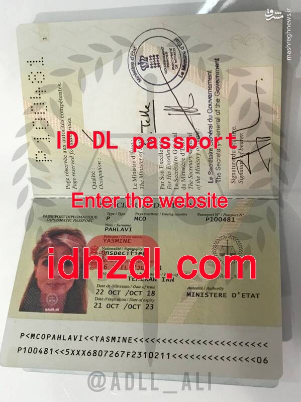 How-to-get-a-Monaco-passport