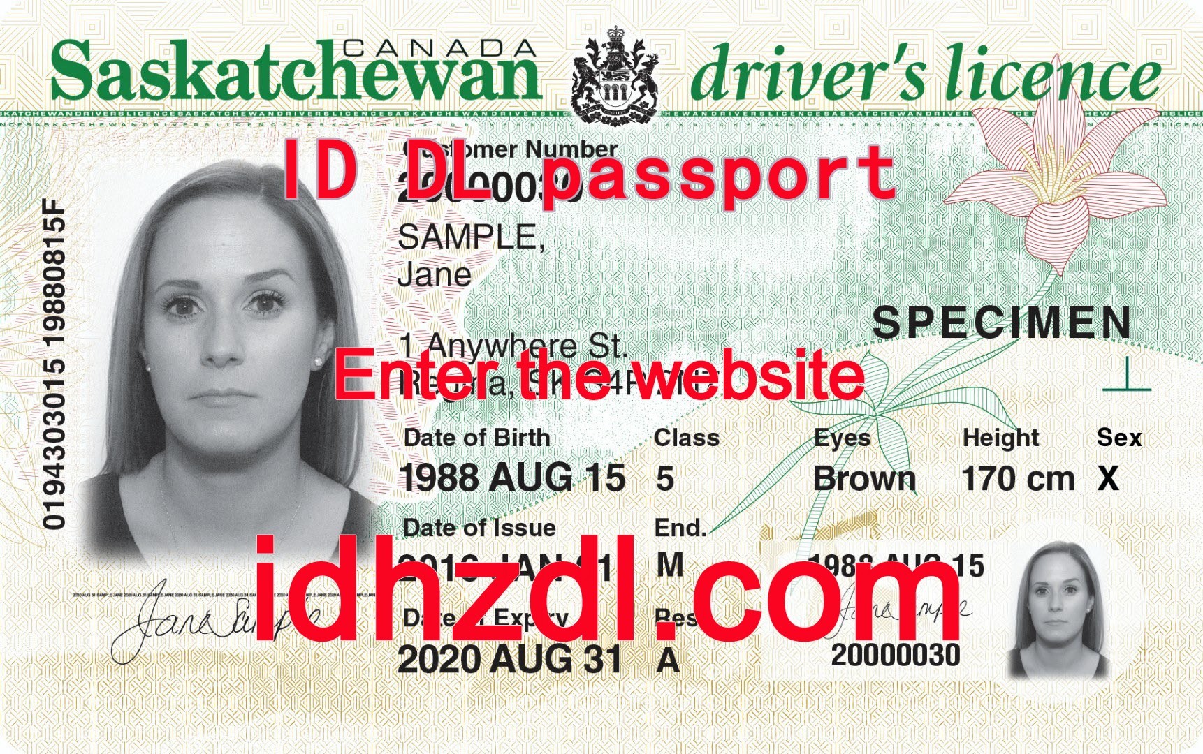 How-to-get-a-Saskatchewan-drivers-license-in-Canada