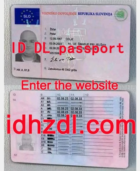 How-to-get-a-Slovenian-drivers-license