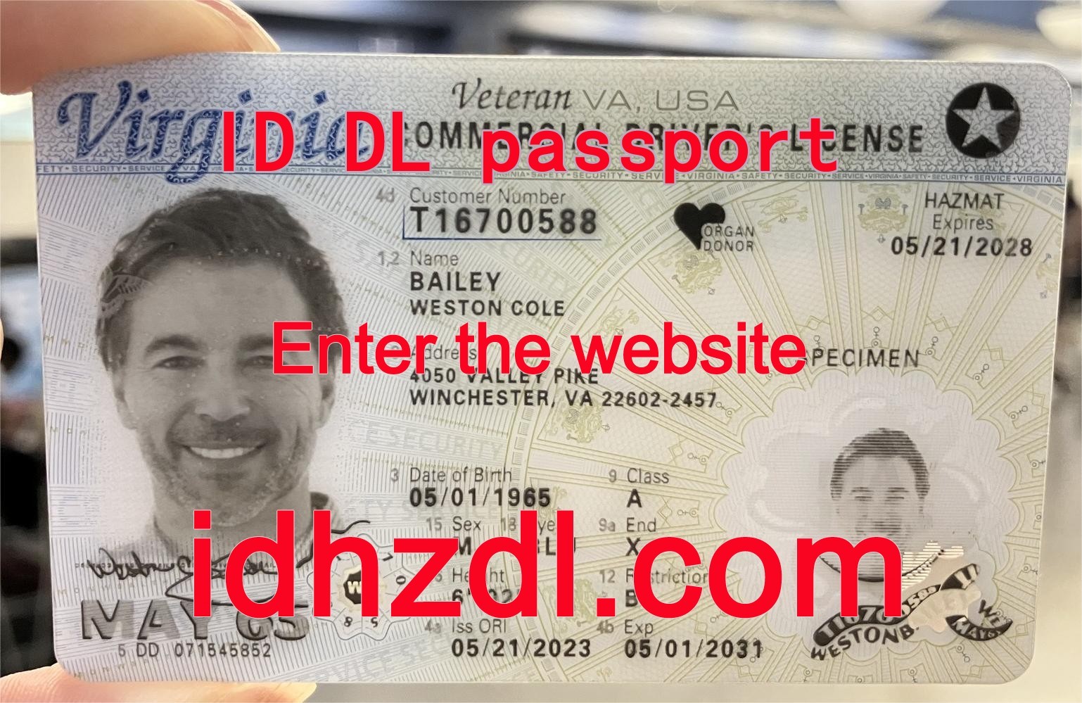 How-to-get-a-Virginia-drivers-license-in-the-United-States