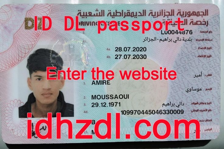 How-to-get-an-Algerian-drivers-license